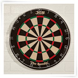 Bandit Pro Staple Free Bristle Dart Board